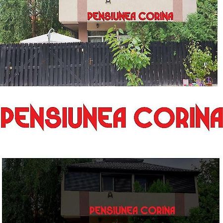 Pensiunea Corina Boutique Craiova Ngoại thất bức ảnh